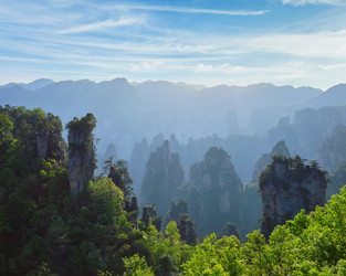 Similar image 22313549