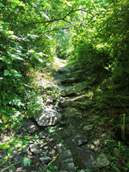 Similar image 22301042