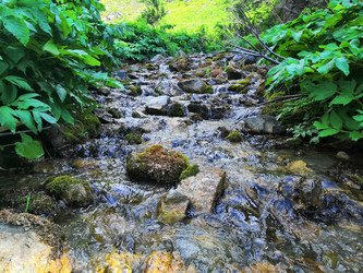 Similar image 22301043