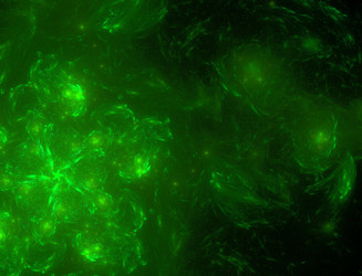 Similar image 22320957