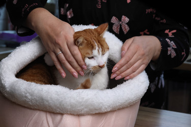 Similar image 22301430