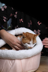 Similar image 22301431