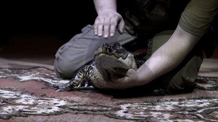 Similar image 22315729