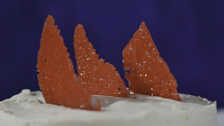 Similar image 22316027