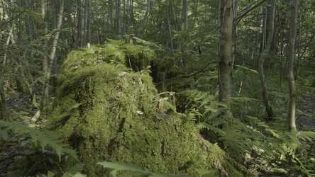 Similar image 22316271