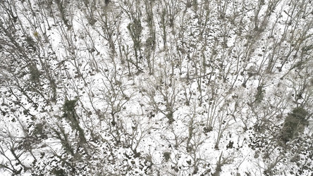 Similar image 22330167