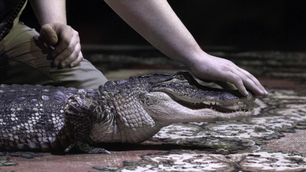 Similar image 22331015