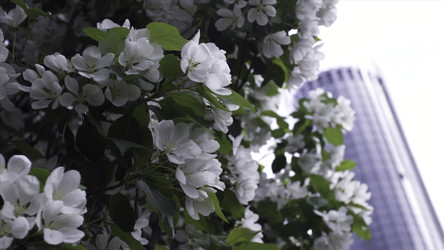 Similar image 22331297