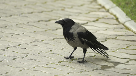 Similar image 22331514