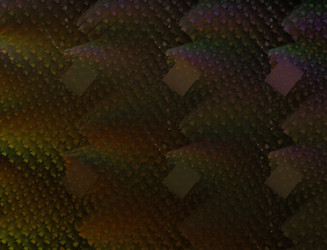 Similar image 22322492