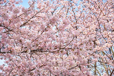 Similar image 22305669