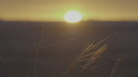 Similar image 22326062