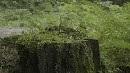 Similar image 22326063