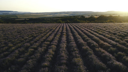 Similar image 22327834