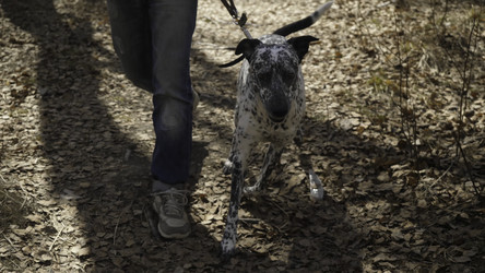 Similar image 22328335