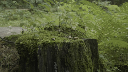 Similar image 22328344