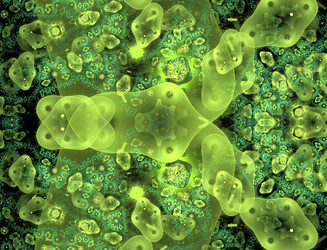 Similar image 22320498