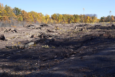 Similar image 22301052