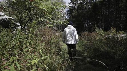 Similar image 22331517