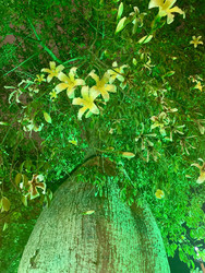 Similar image 22301095