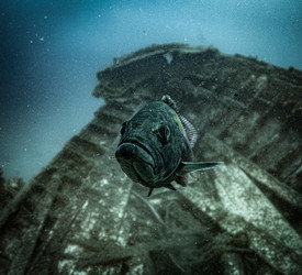 Similar image 22302078