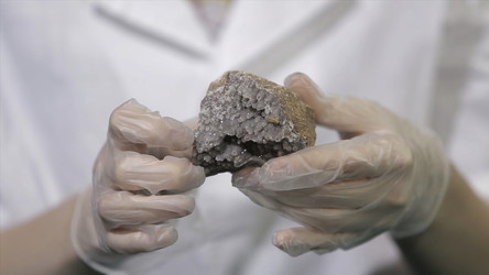 Similar image 22330581