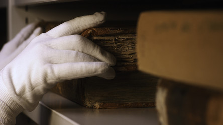 Similar image 22331028