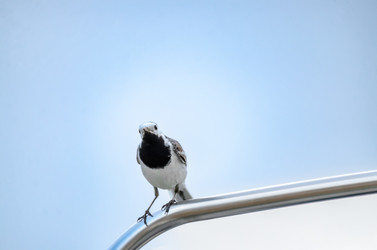 Similar image 22308759