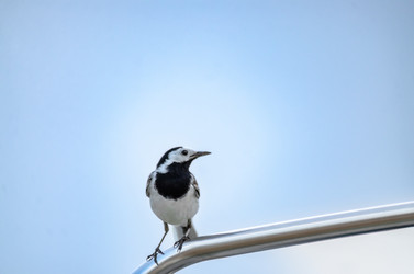 Similar image 22308760