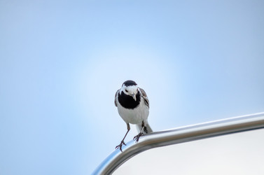 Similar image 22308761