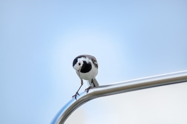 Similar image 22308762