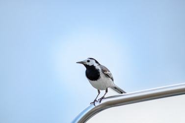 Similar image 22308763