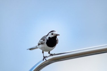 Similar image 22308764