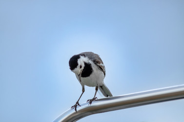 Similar image 22308765