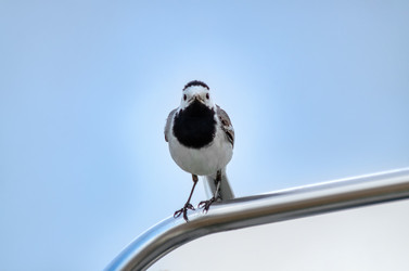 Similar image 22308766