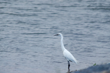 Similar image 22311882