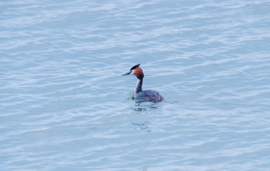 Similar image 22311883