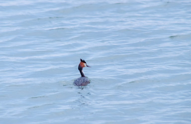 Similar image 22311884