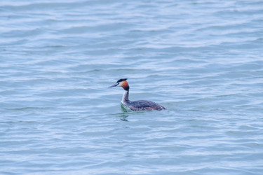 Similar image 22311885