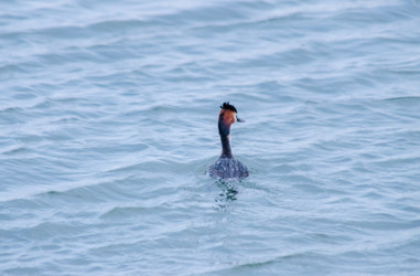 Similar image 22311886