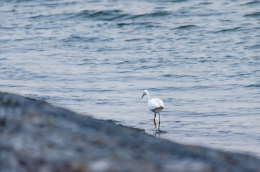 Similar image 22311887