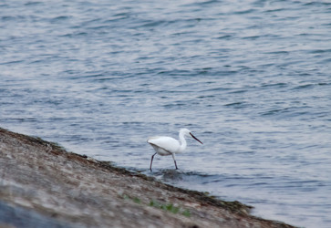 Similar image 22311888