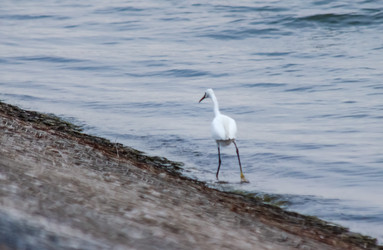 Similar image 22311889