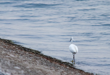 Similar image 22311890