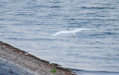 Similar image 22311891