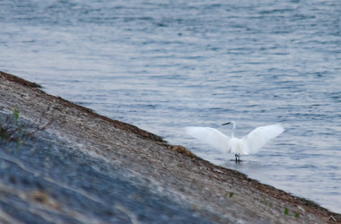 Similar image 22311804