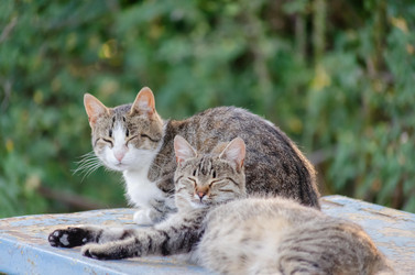 Similar image 22308767