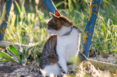 Similar image 22311805