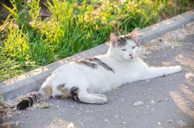 Similar image 22311806