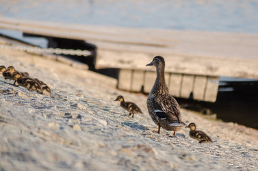 Similar image 22311807